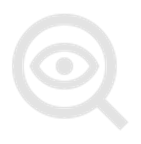 Our Vision Icon